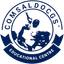 Comsaldocgs Logo